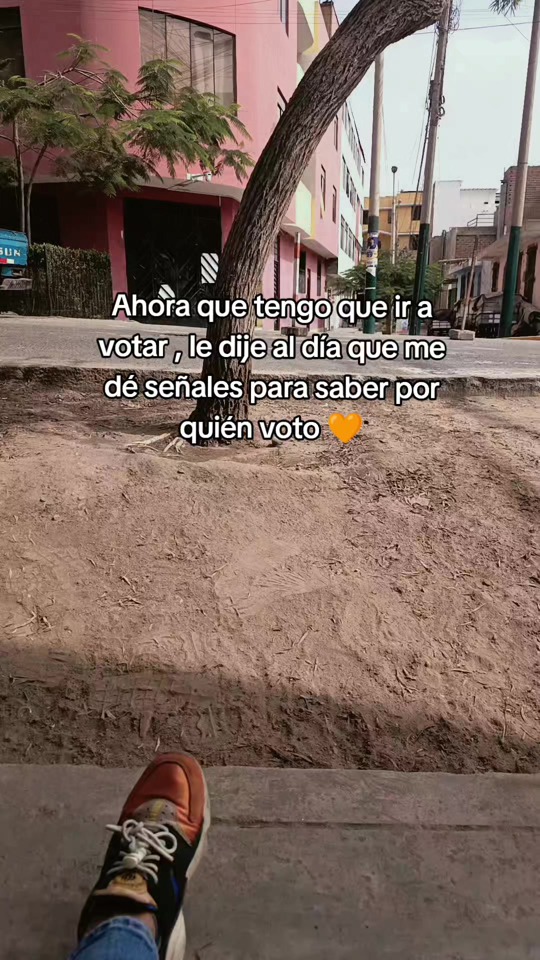 @Cinthia Montero Sauñ