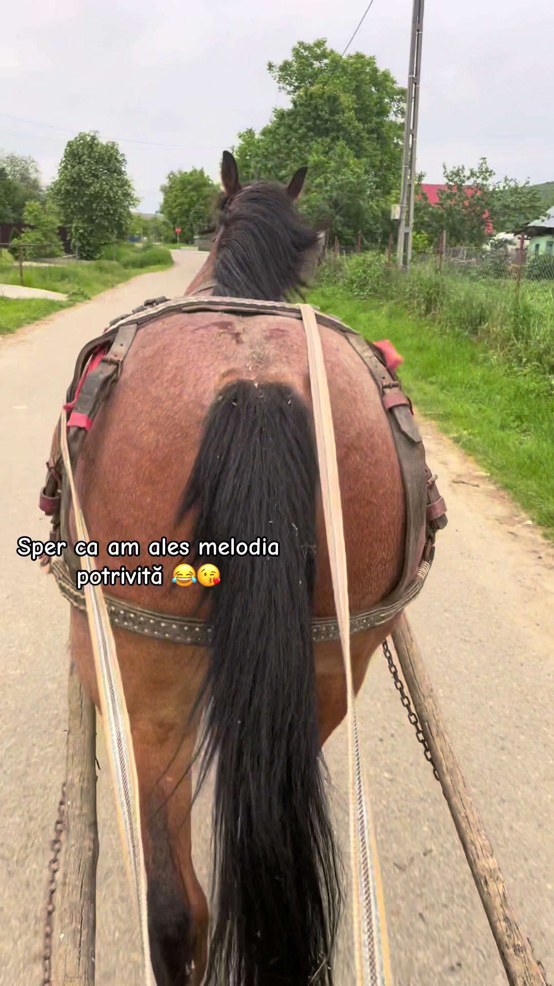 @Vlăduț💲