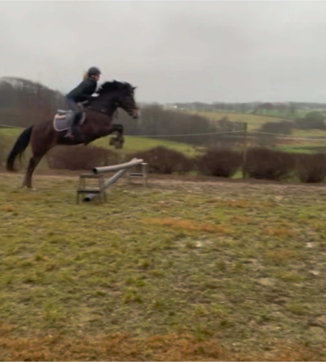 @Cathrine_equestrian🤍