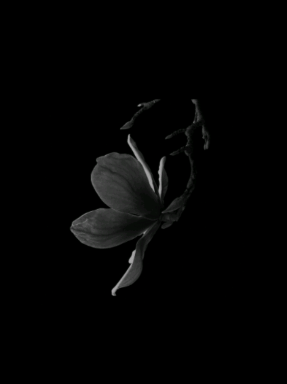 @𝐒𝐓𝐀𝐑'𝐒