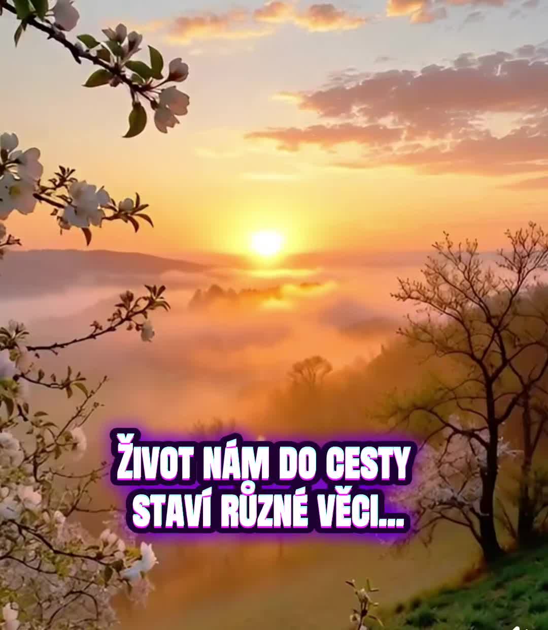 @🇨🇿 J&aacute;ry Ruky🕺