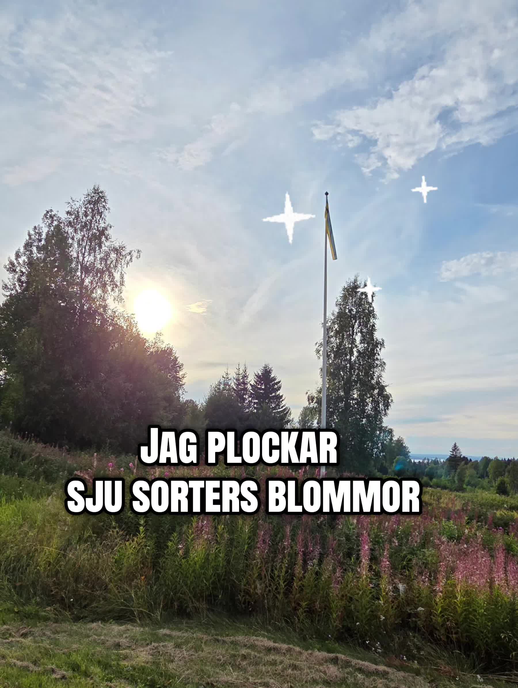 @JessicaJ♥︎🇸🇪