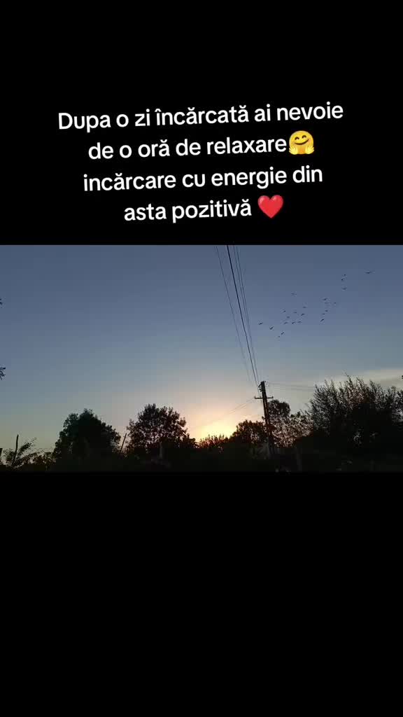 @(Frații Coman)