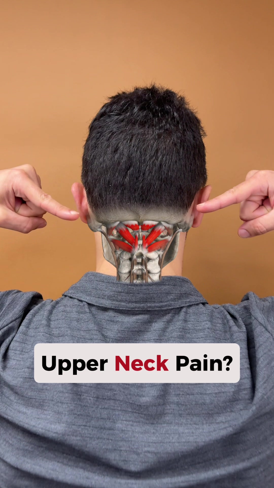 @Dr. Joe Damiani, DPT