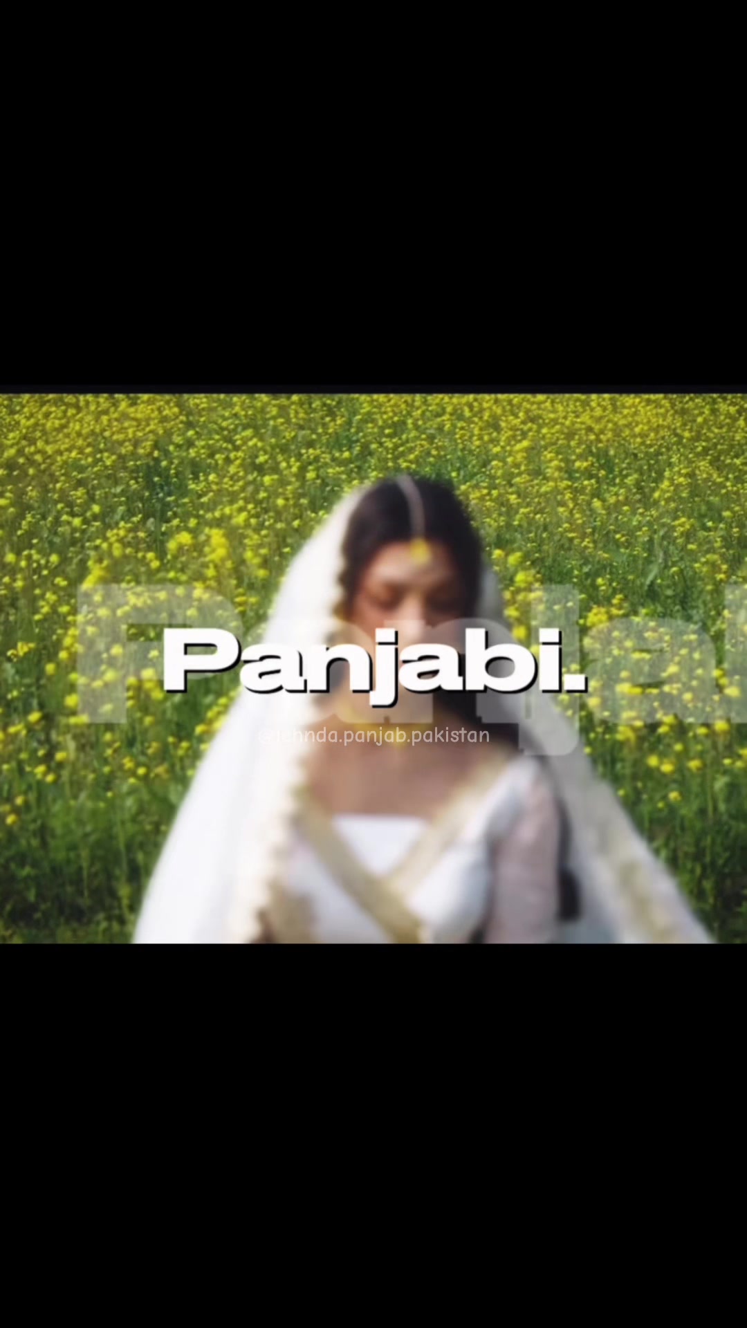 @Lehnda Panjab🇵🇰
