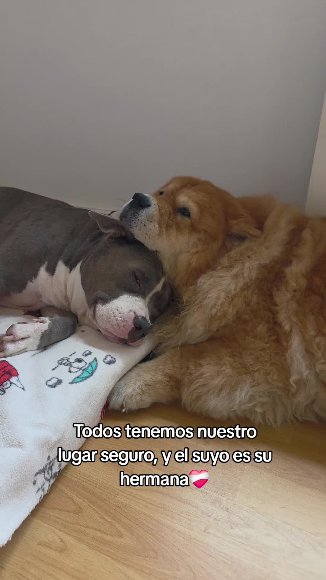 @Kenya y Daddy🐶