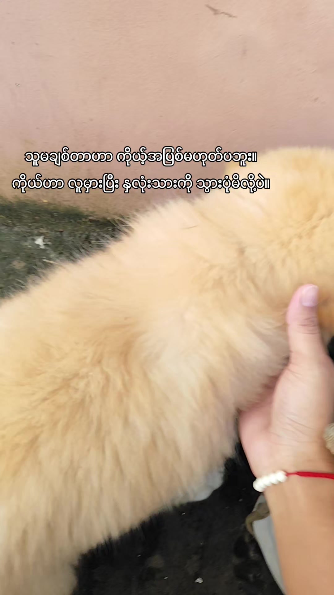 @♡