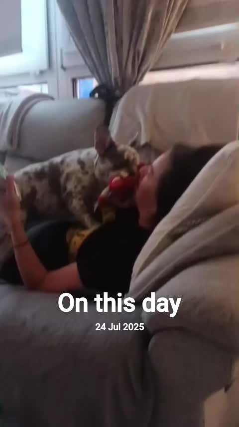 @Tonibell83