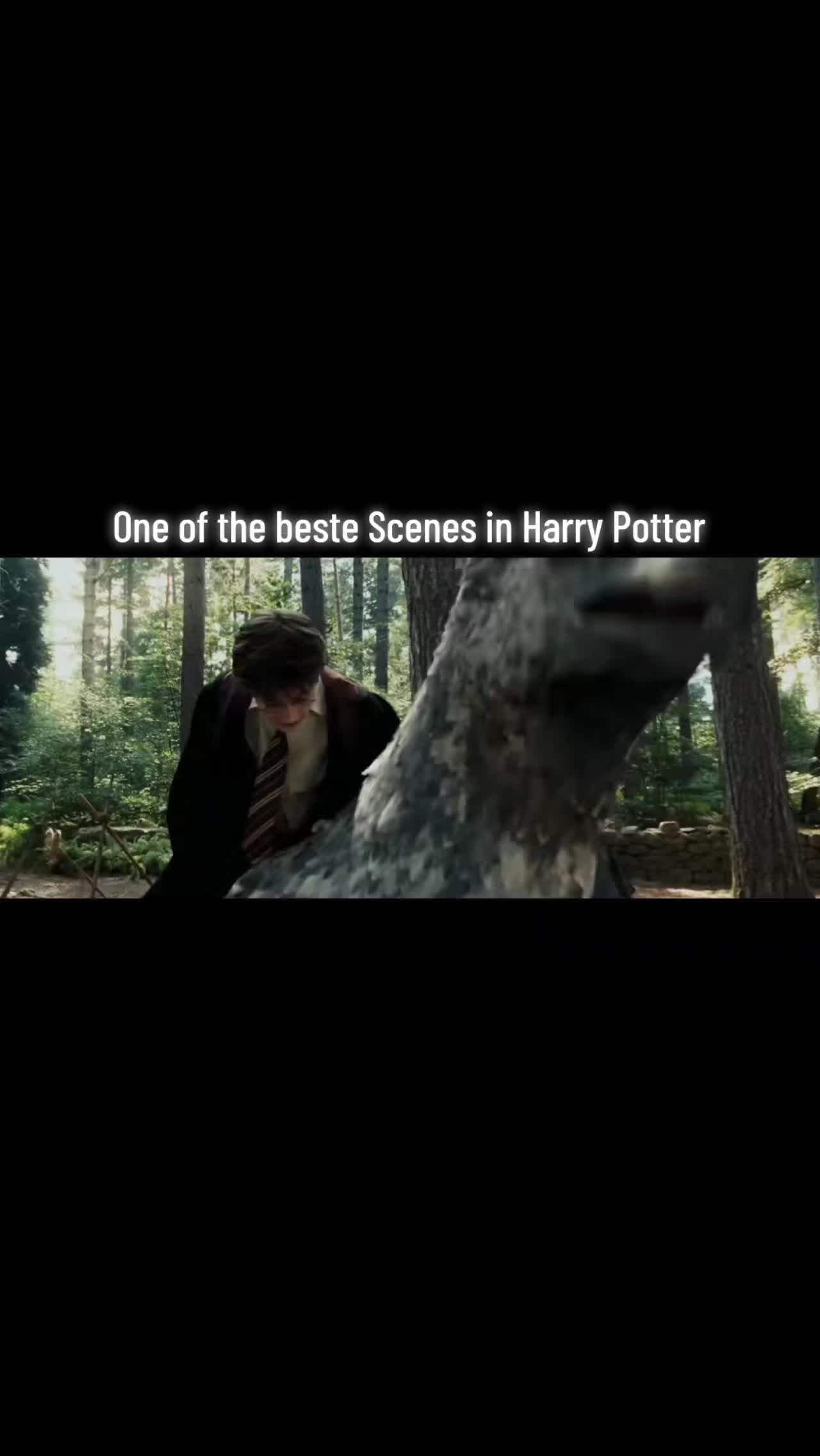 @harrypotterfan8507