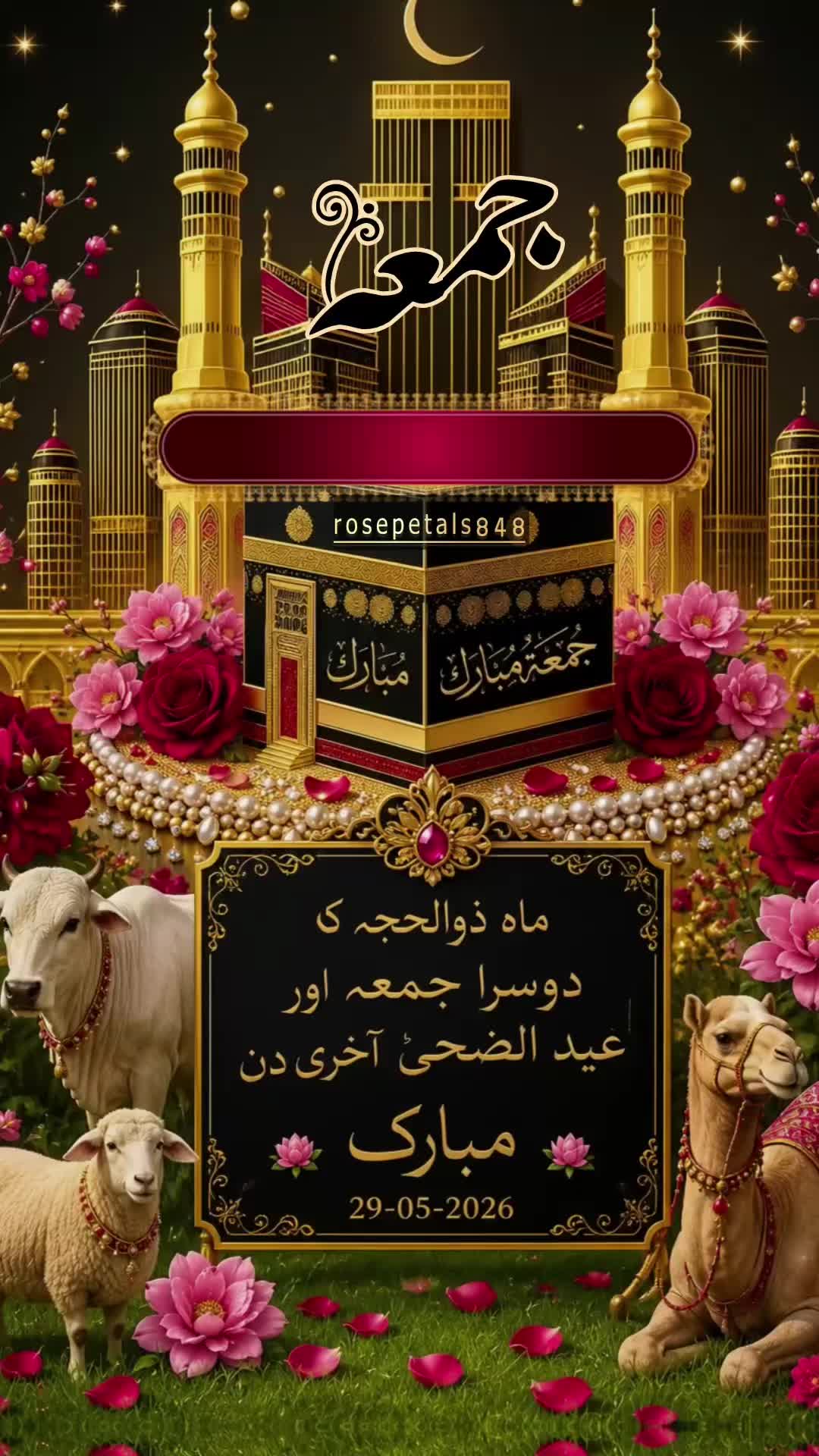 @👈🕋💚rosepetals848🤍🕌👈