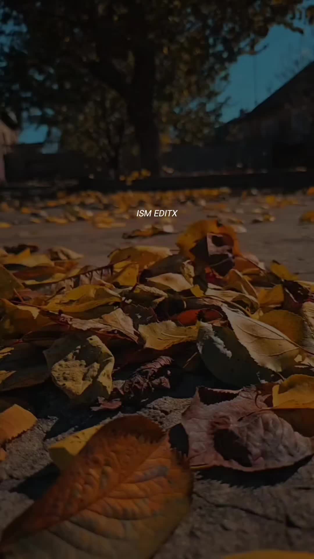 @اقراء❤️&zwj;🔥