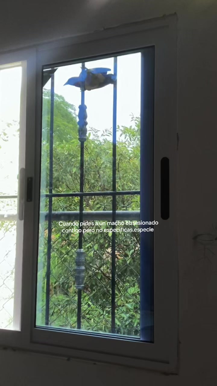 @Rain