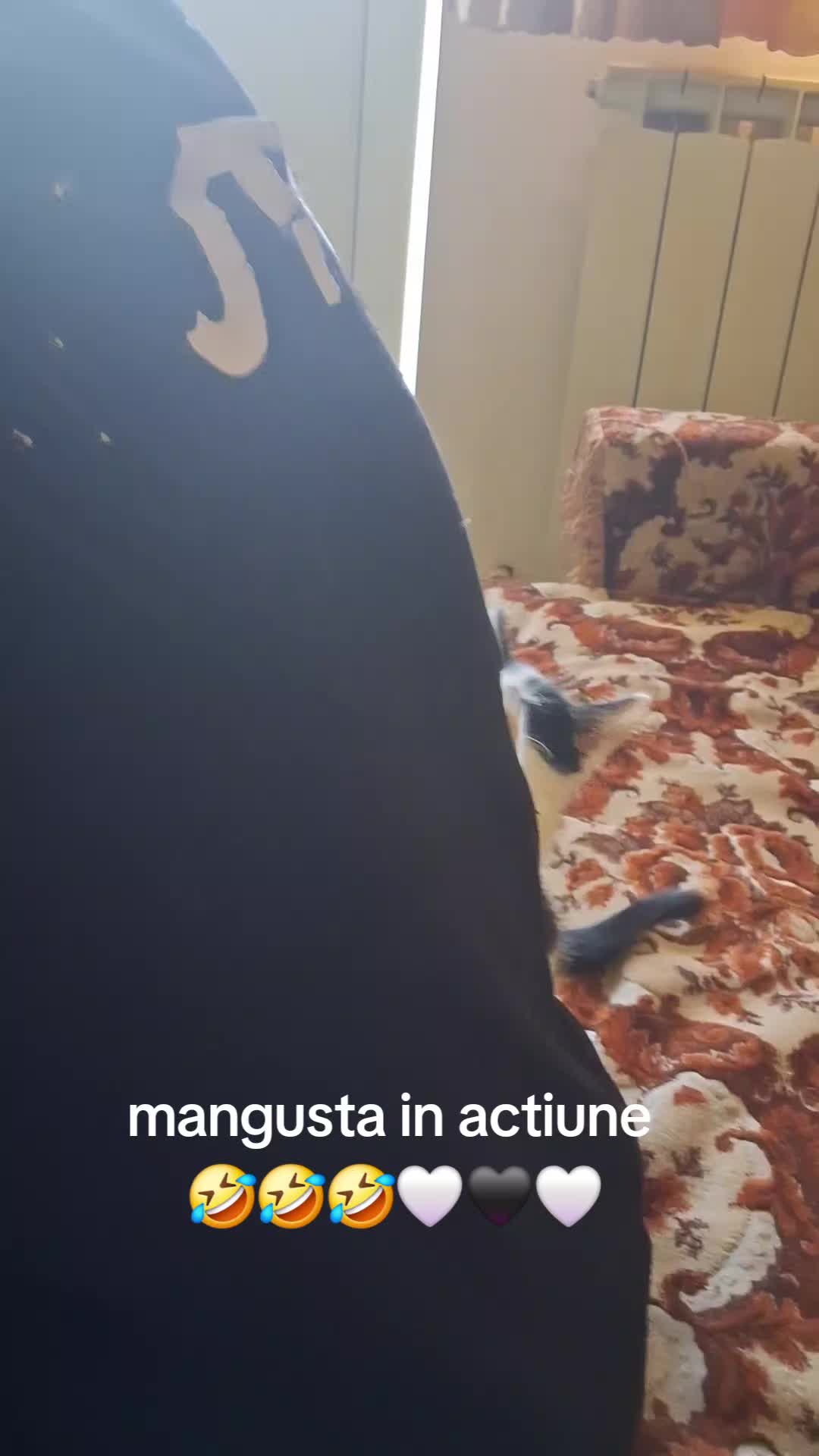 @giovannigiova