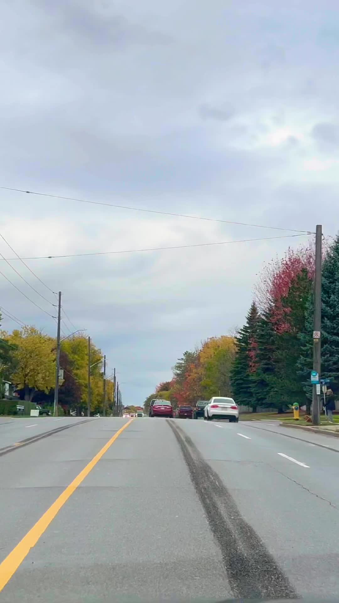 @Canada Vibes