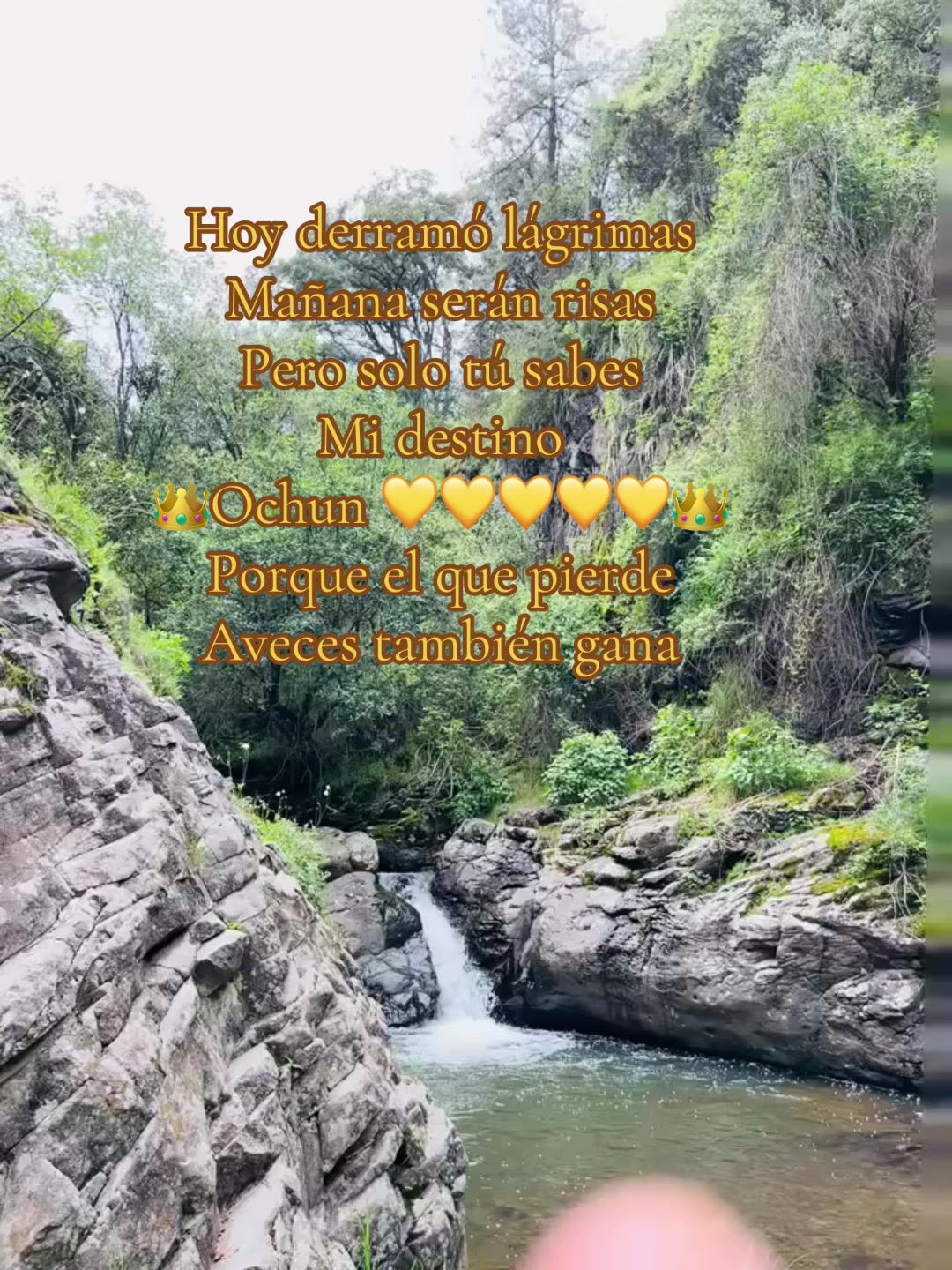@sandyeleguacita