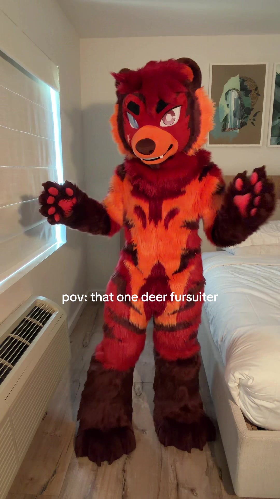 @UrsoFax