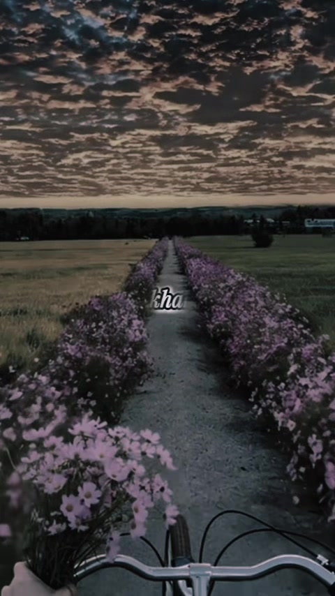 @sharmila
