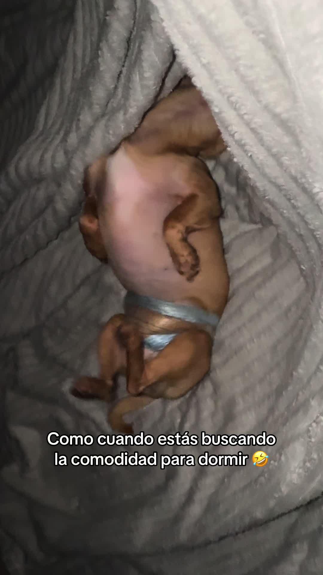@Gloria Hernandez