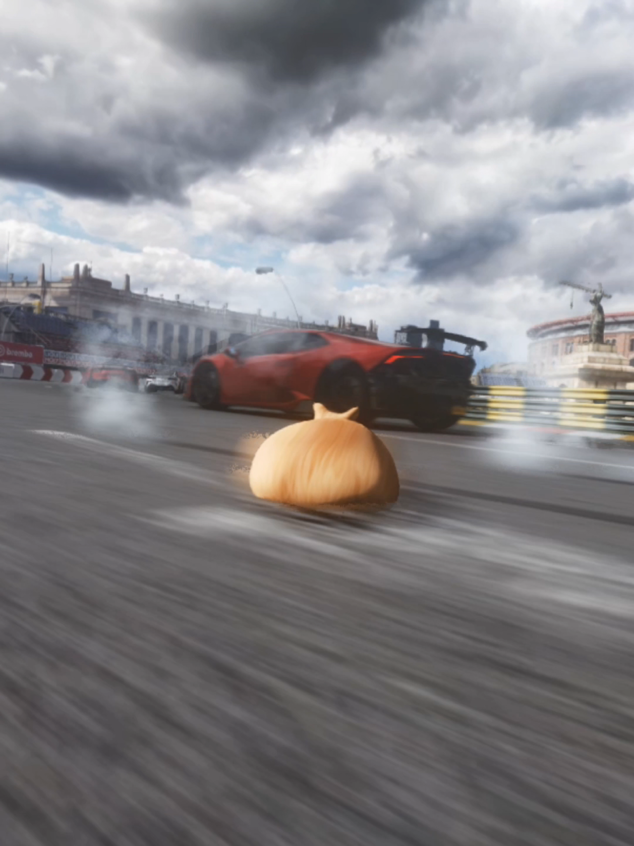 @Pablo the Race Cat