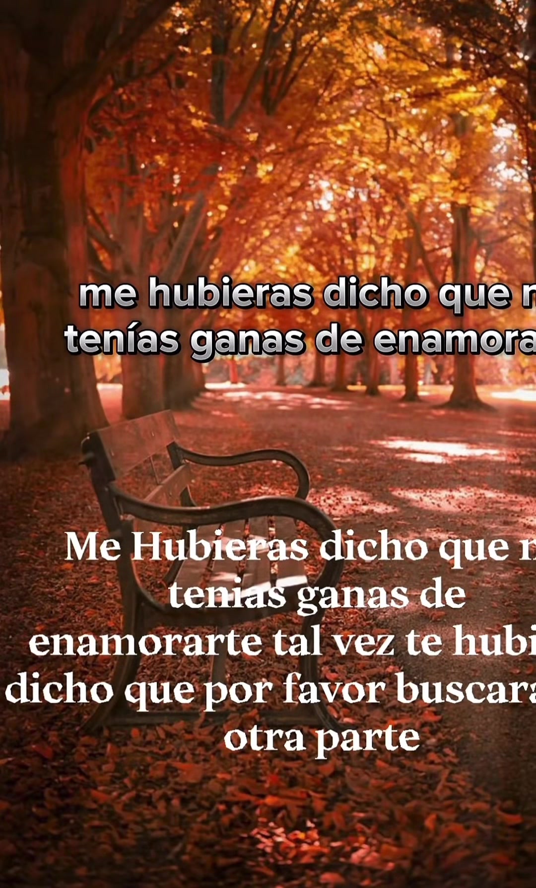 @🐄 Tus 🐻faboritas58🧸 🐎