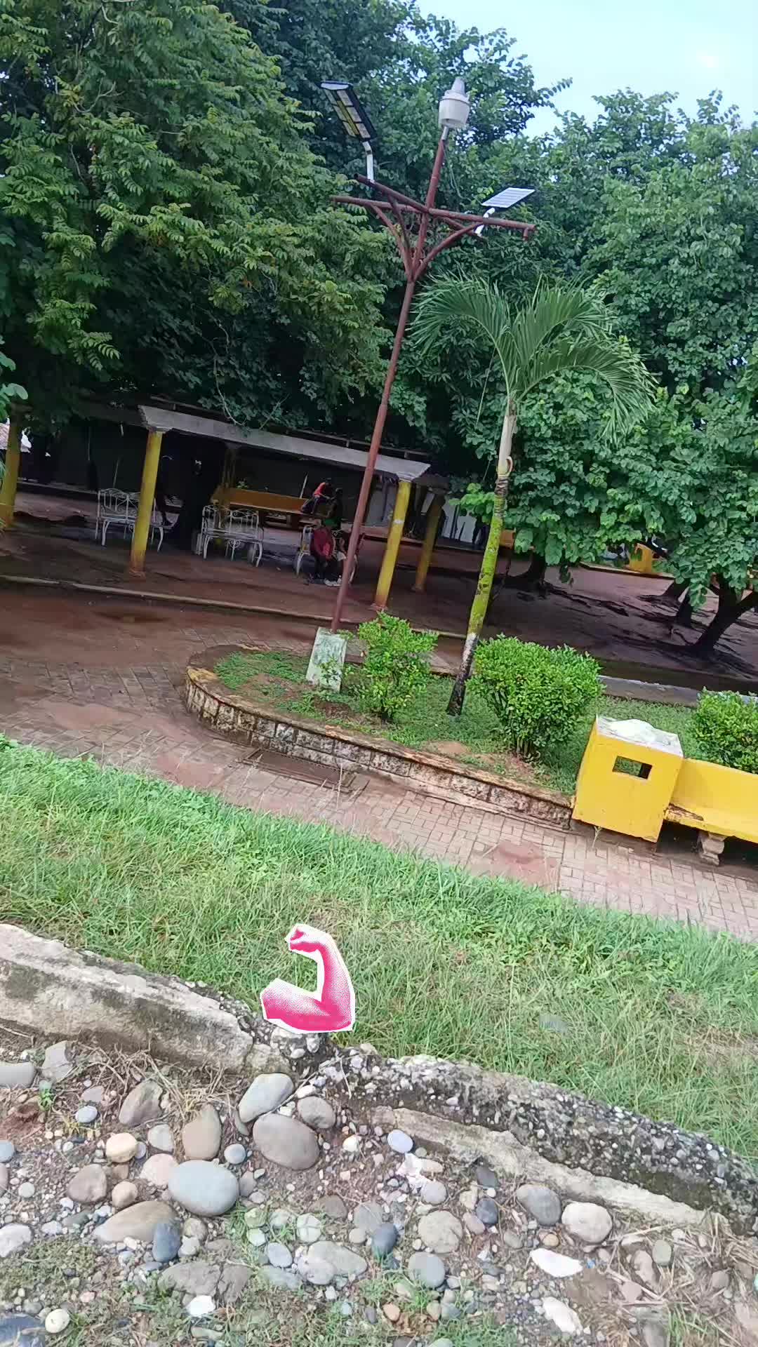 @el gallo 502