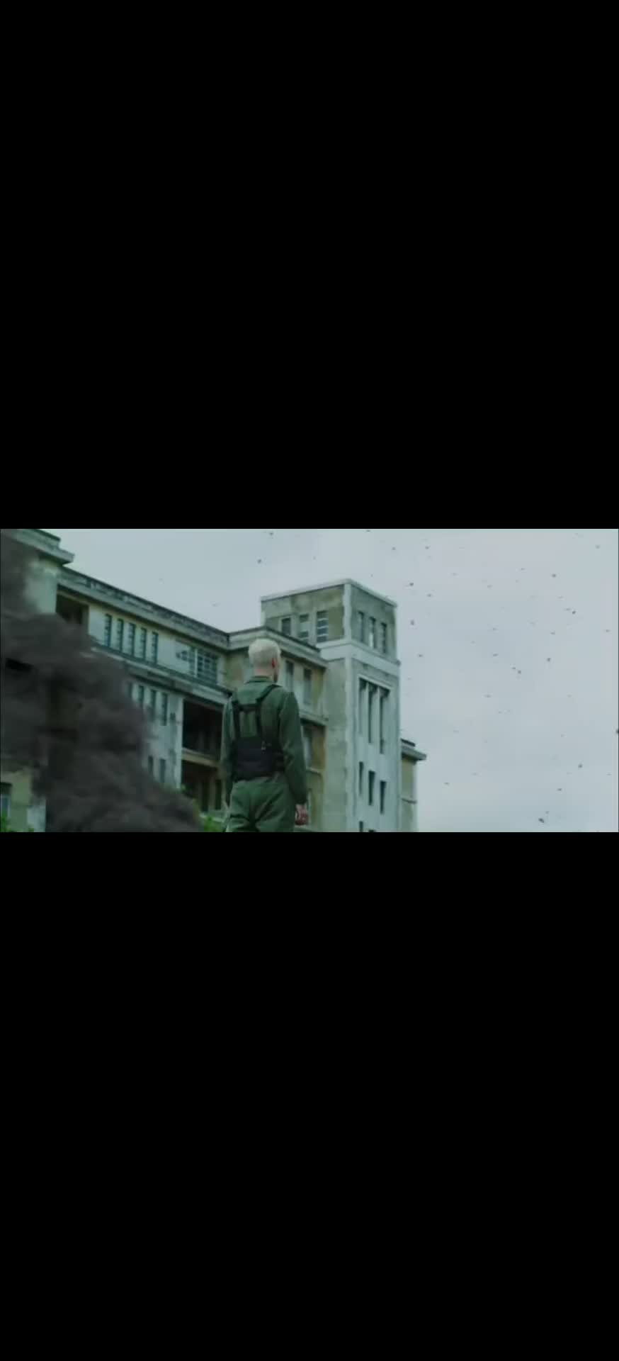 @TARZAN.LOVE