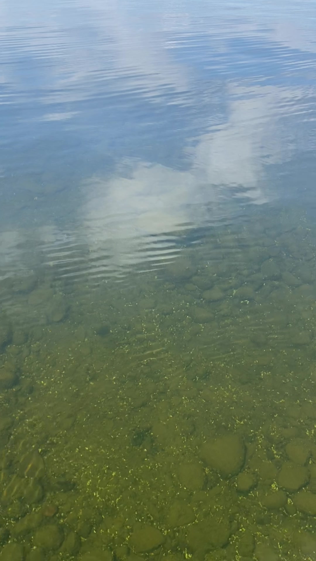 @chadsfishin