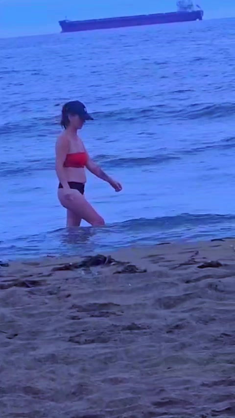 @Лиса