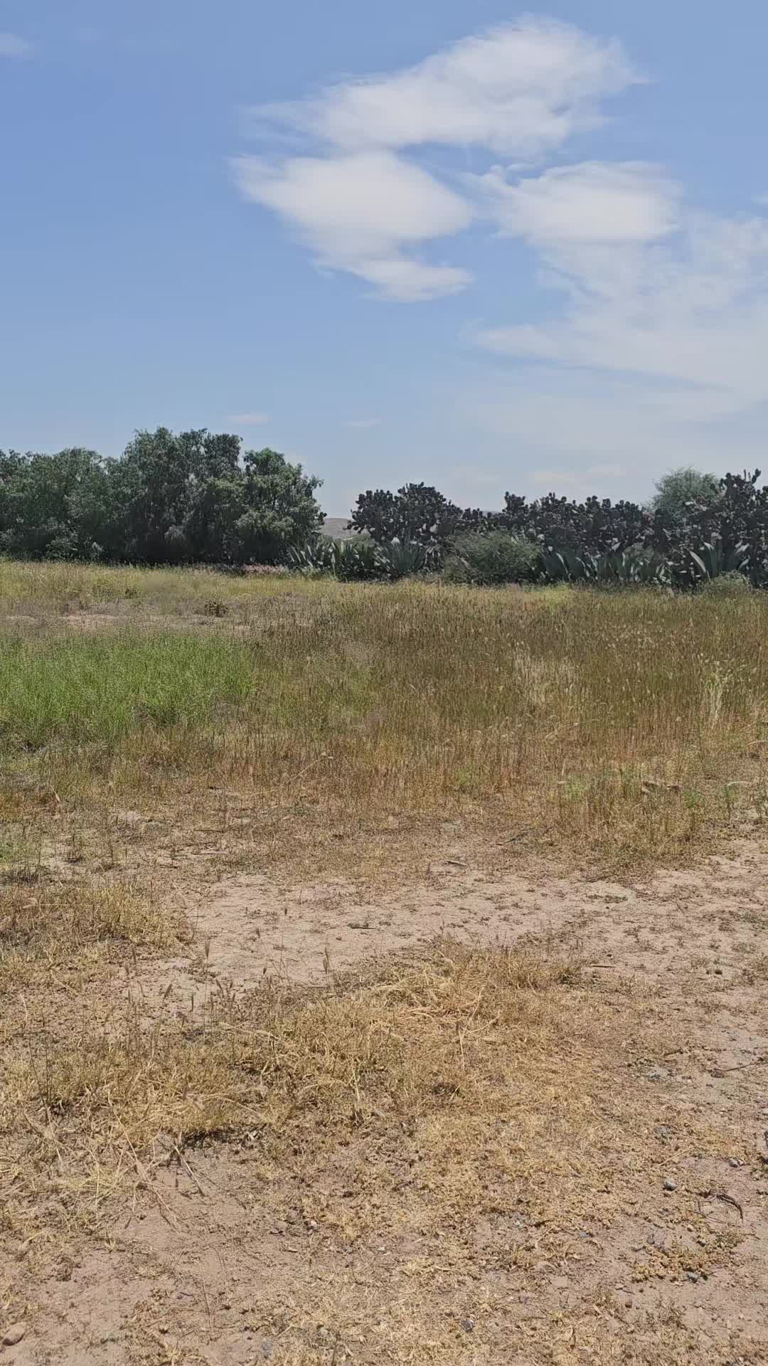 @El minimo del Tiktok