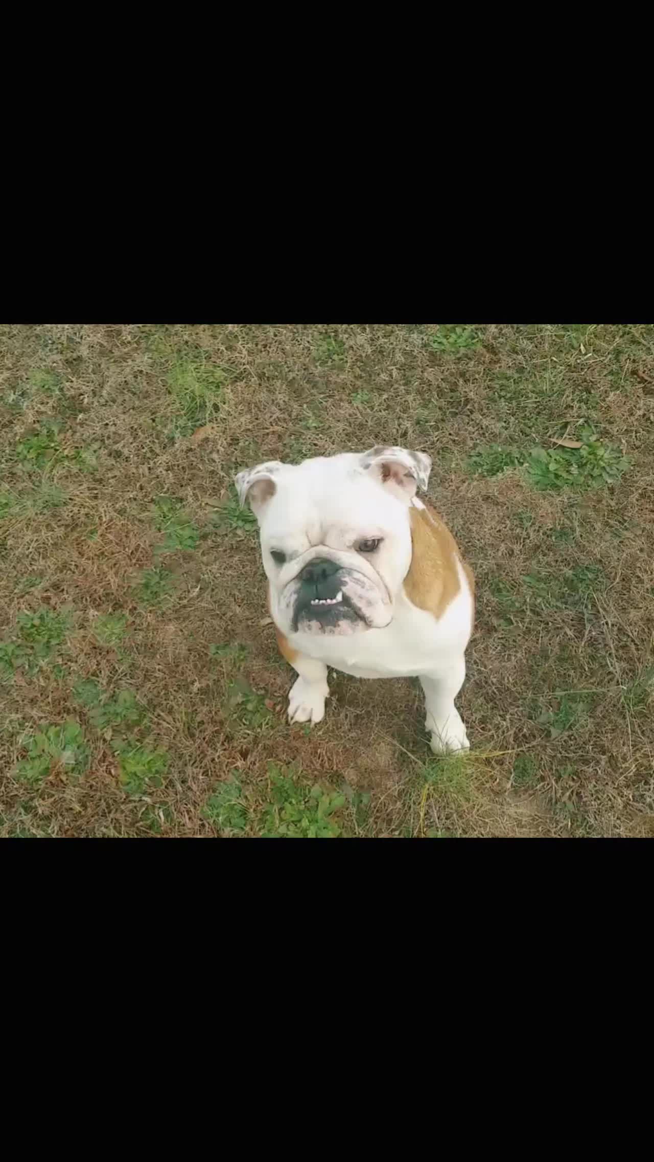 @Areyoufurwheels