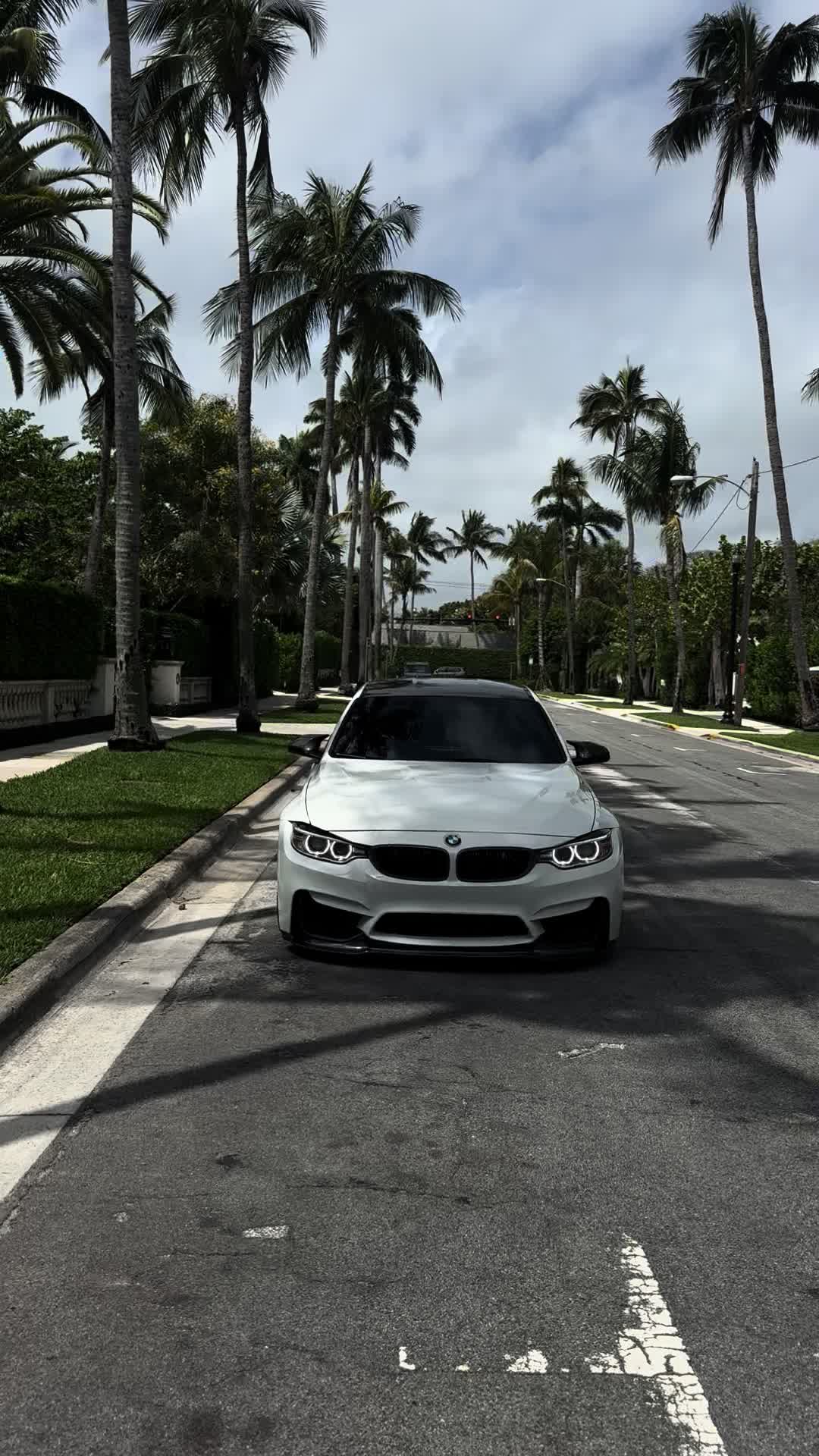 @f80andy_