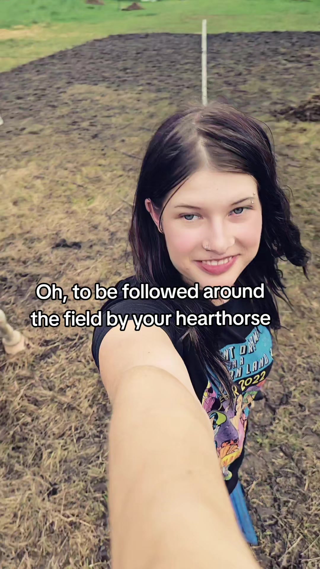 @Dino and horses
