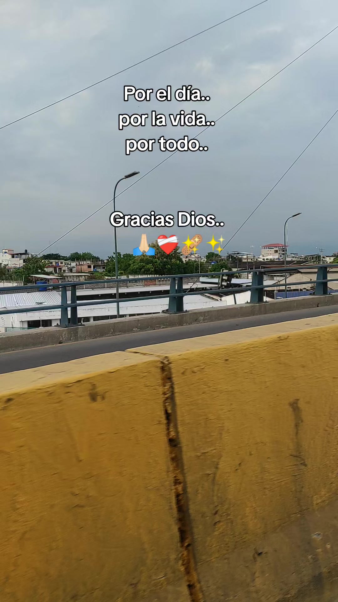 @Sagitario14❤️