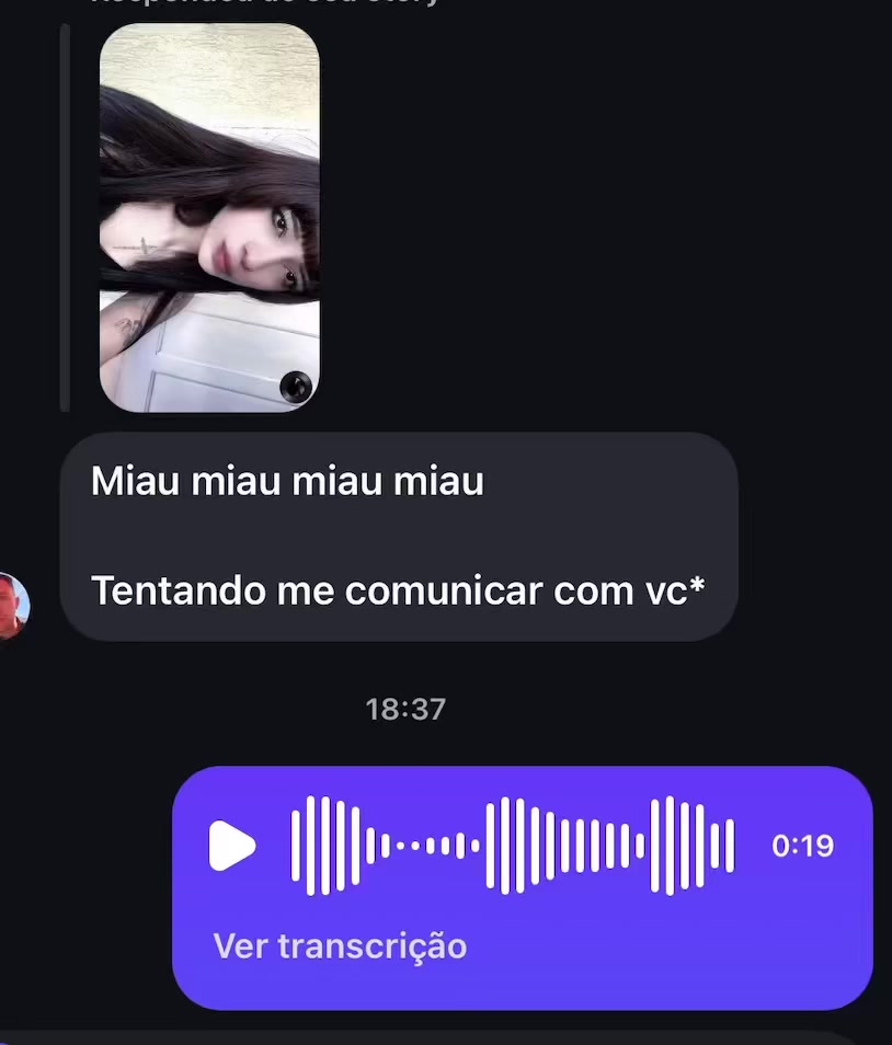 @vleerwyn