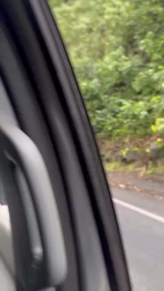 @Big Island Thieves Media