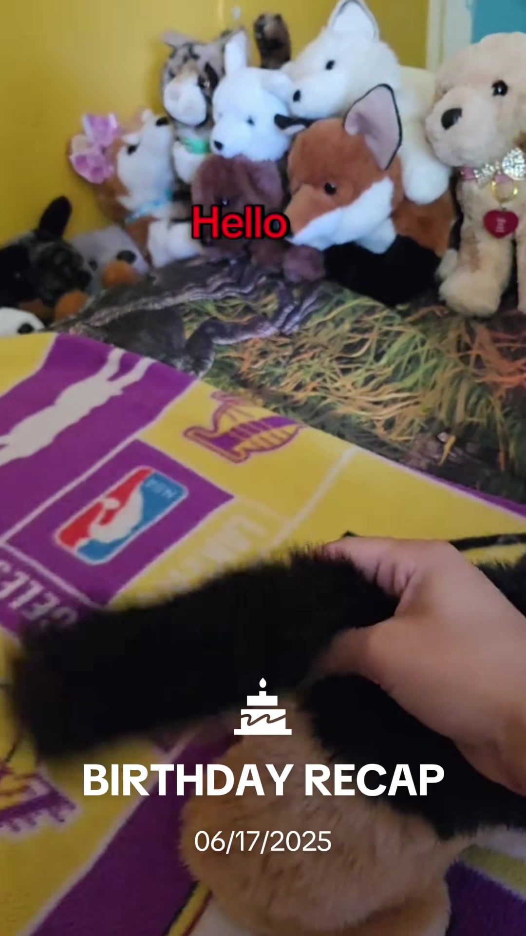@🪸🦭🪼IsabellaandDino🪸🫍🐬