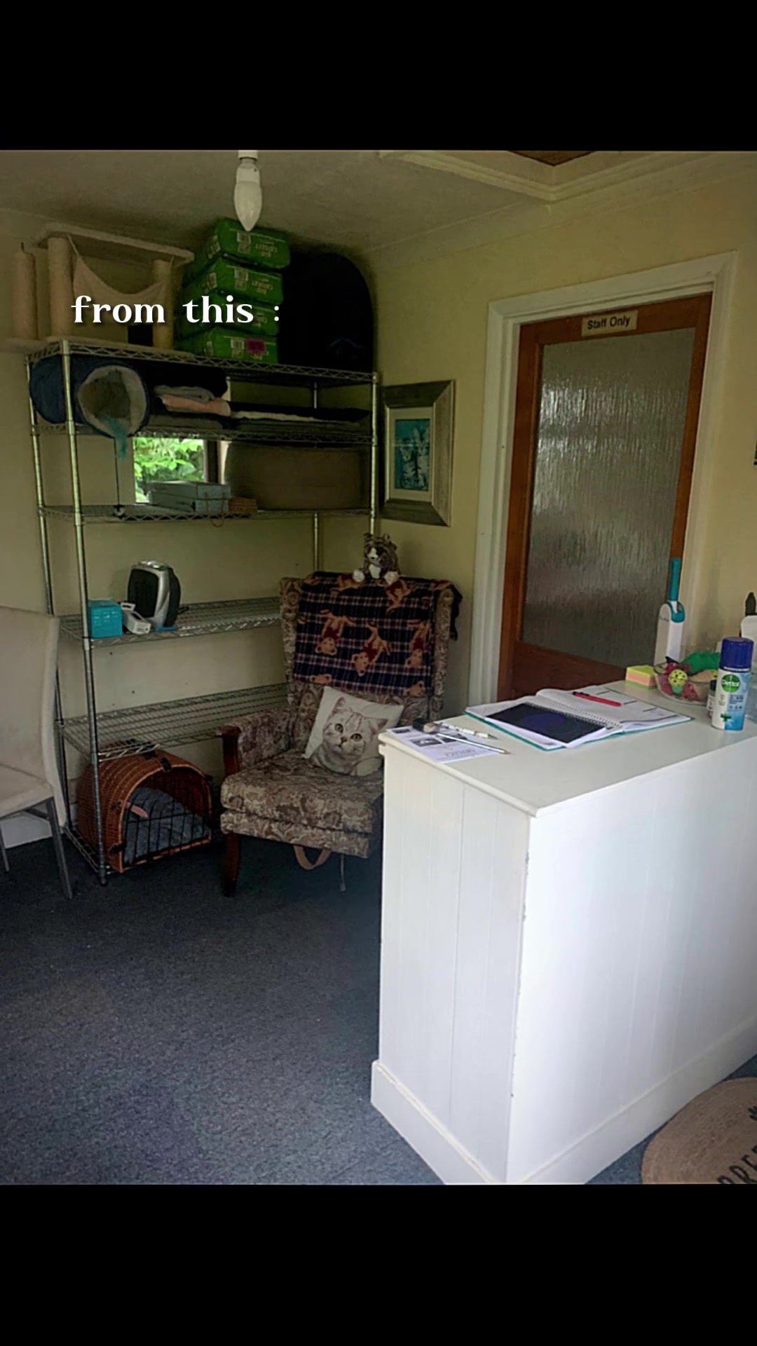 @Herongate Village Cattery
