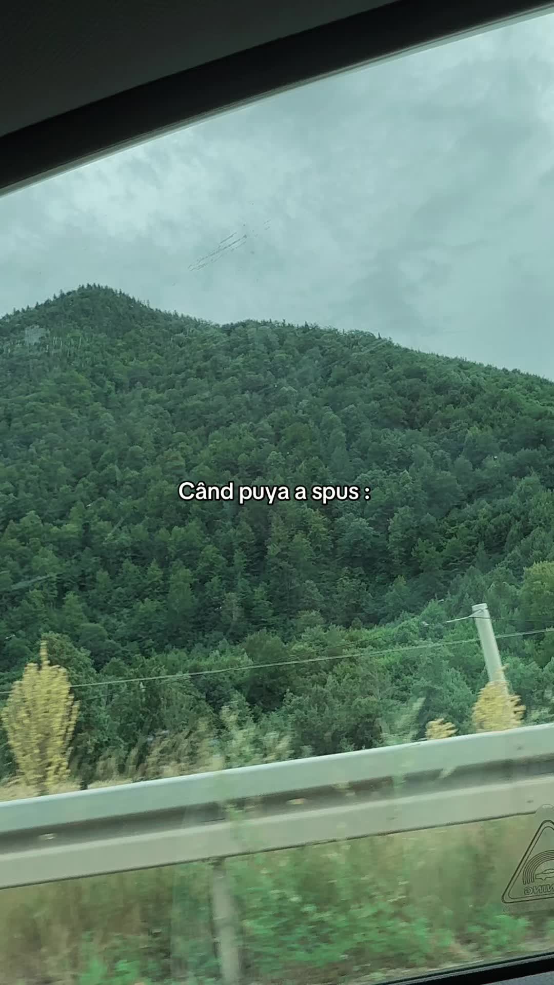 @𝓐𝓷𝓬a 🦋🍭🦩