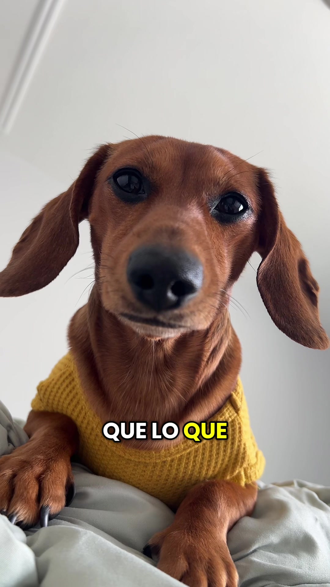 @Slinky Severus-Doo