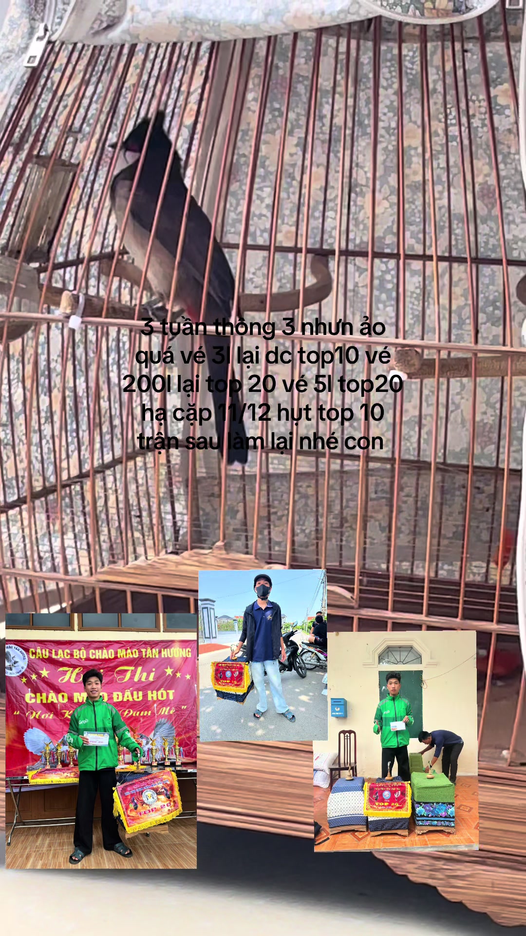 @Chaomaohaiduong34