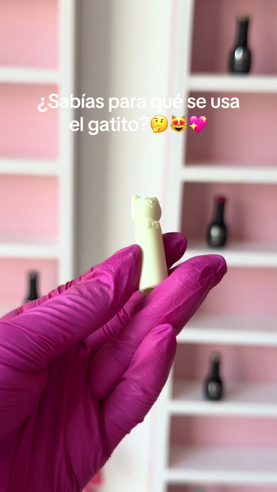 @GelPolishZamGdl
