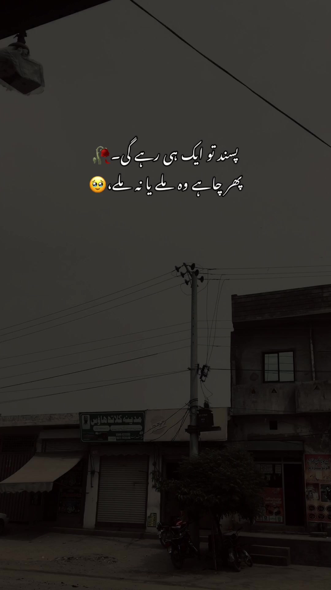@>پاگل ہو <🦋
