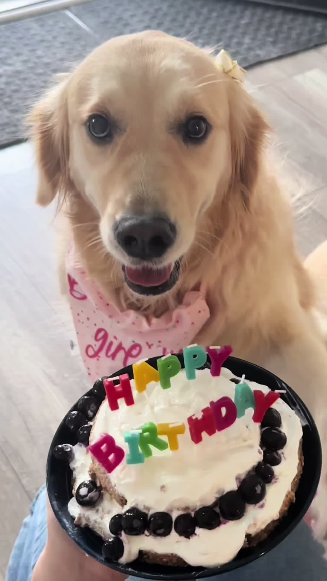 @Chloè🐾