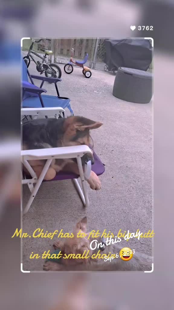 @Mr.Chief&Nova