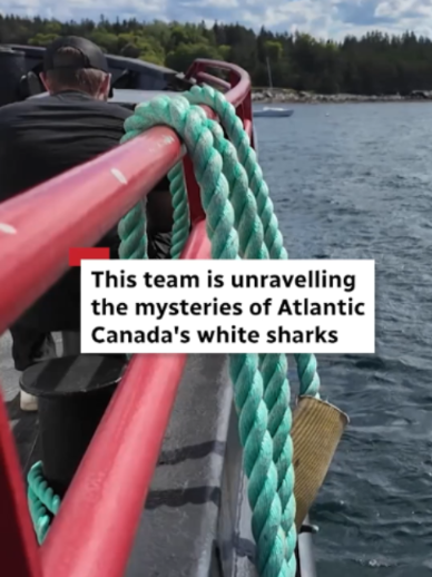 @CBC Nova Scotia
