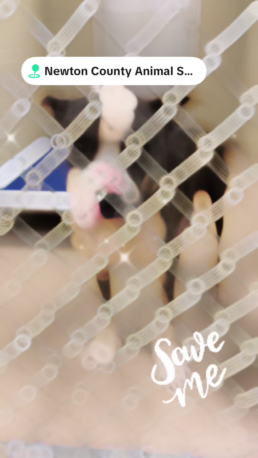 @Jennifer Allen