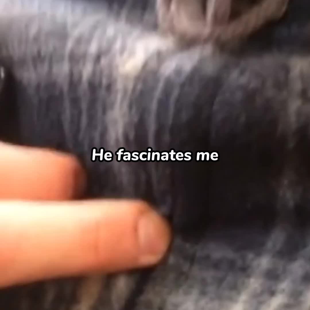 @Dana🦇