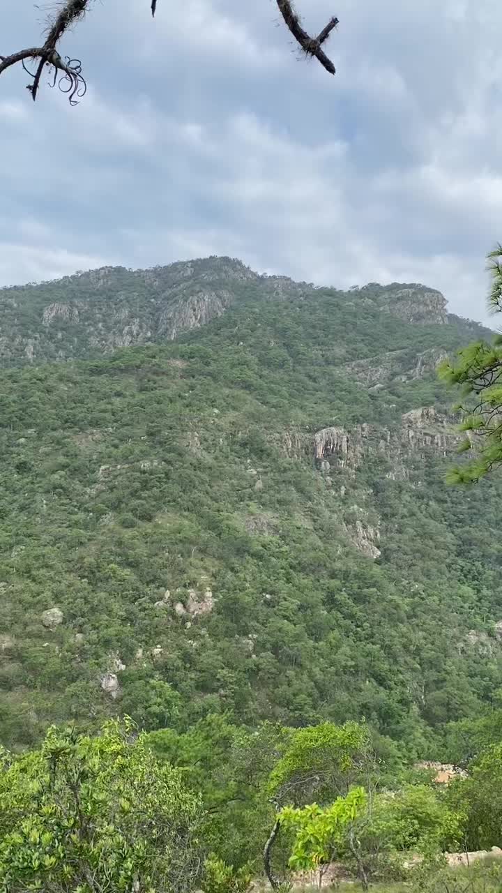 @Gc Mochi🇲🇽🦎🏔️