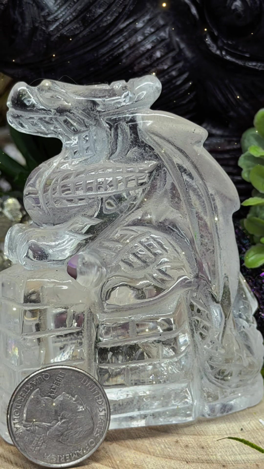 @The Crystal Parrot Crystals