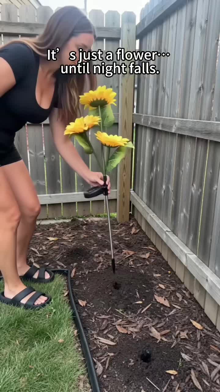 @Audrey